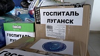 Союзницы большой области - мощная сила в поддержке бойцов