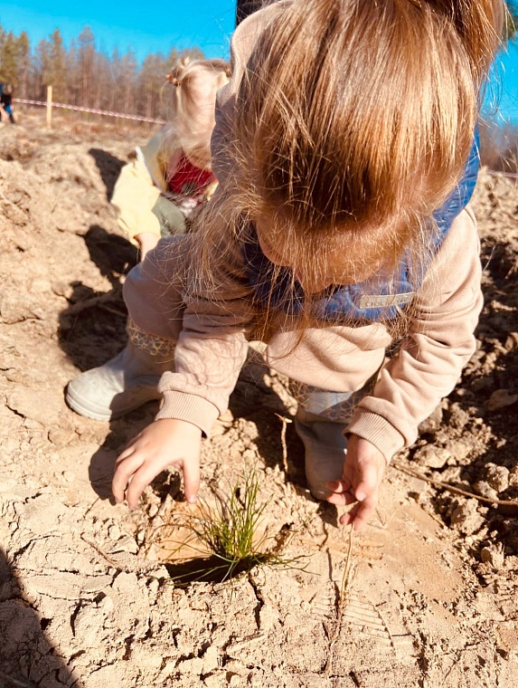 Сохраним лес вместе!