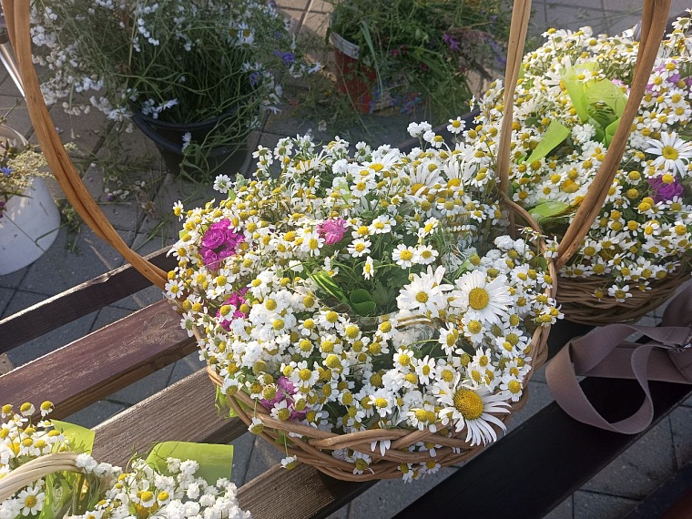 Семьям Тюменской области - от женсоветов с любовью