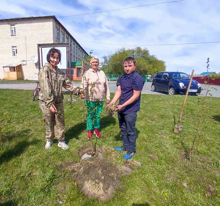 Высадили дерево - внесли свой вклад в экологию 