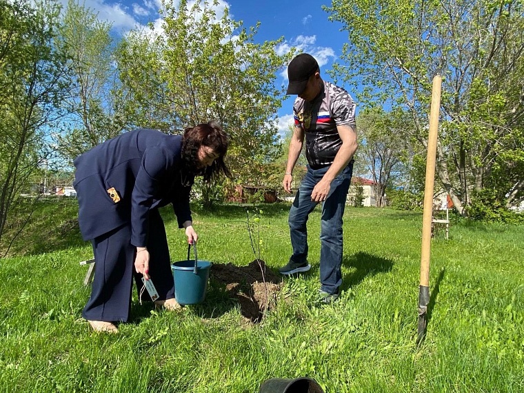 Нижнетавдинские союзницы организовали посадку "семейных" деревьев